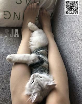 日本高清电视_HD全集免费观看