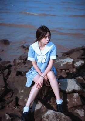 报告班长_DVD完整视频观看