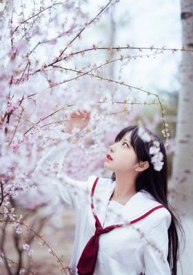 农场主的女儿们电影在线观看_BD英语全集在线观看