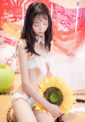 和平使命 电视剧_BD国语高清完整版