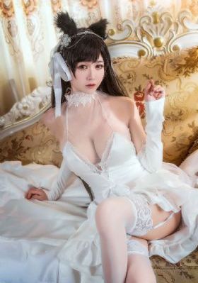 电视剧免费大全在线观看_BD国语高清免费观看
